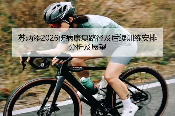 苏炳添2026伤病康复路径及后续训练安排分析及展望
