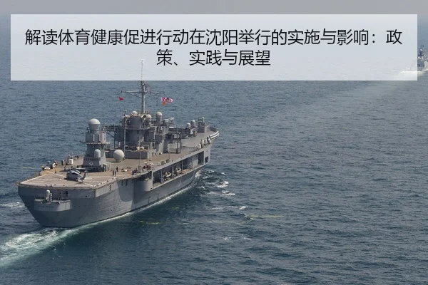 jie-du-ti-yu-jian-kang-cu-jin-xing-dong-zai-shen-yang-ju-xing-de-shi-shi-yu-ying-xiang-zheng-ce-shi-jian-yu-zhan-wang-2-269.jpg