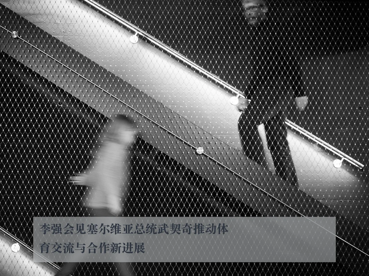 李强会见塞尔维亚总统武契奇推动体育交流与合作新进展